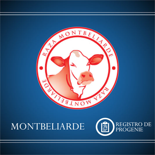 Registro Montbeliarde