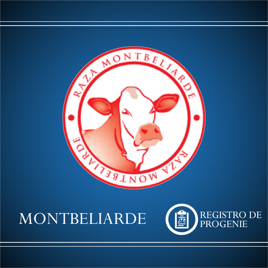 Registro Montbeliarde