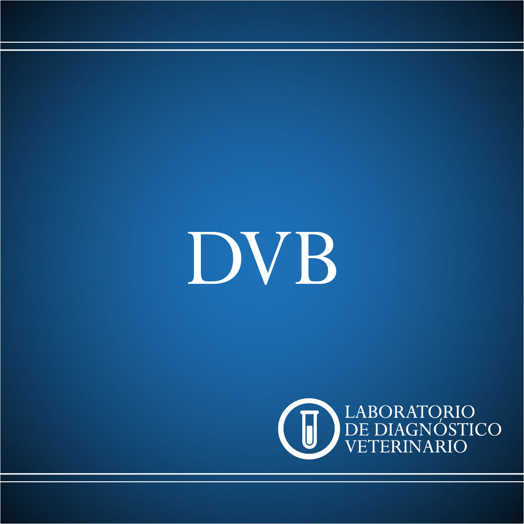 Diagnóstico Diarrea Viral Bovina (DVB)