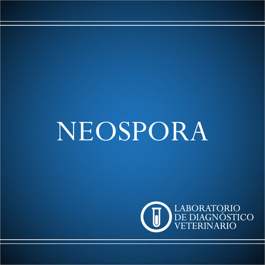 Diagnóstico Neospora