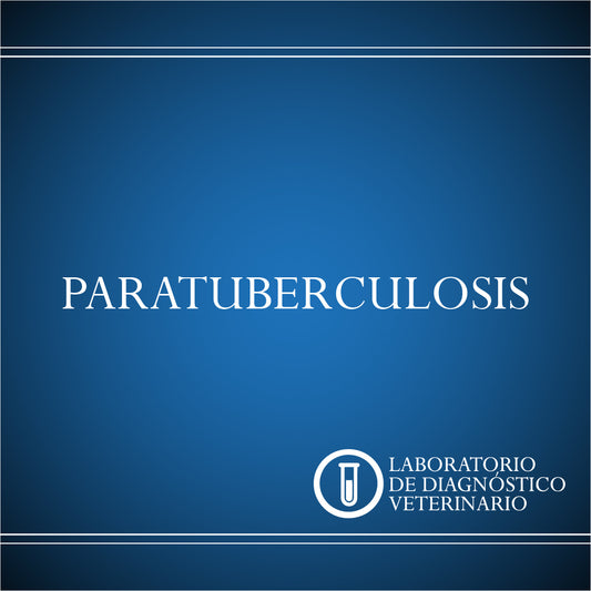 Diagnóstico Paratuberculosis