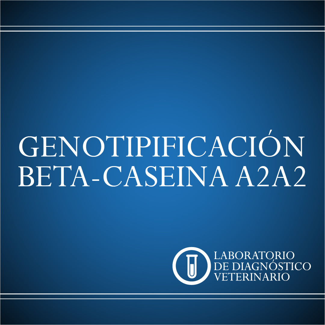 Diagnóstico Genotipificación Beta-Caseina A2A2