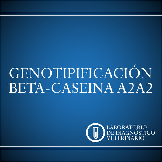 Diagnóstico Genotipificación Beta-Caseina A2A2