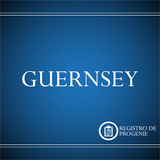 Registro Guernsey
