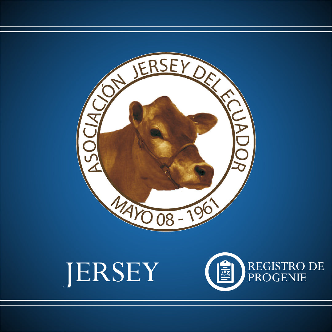 Registro Jersey