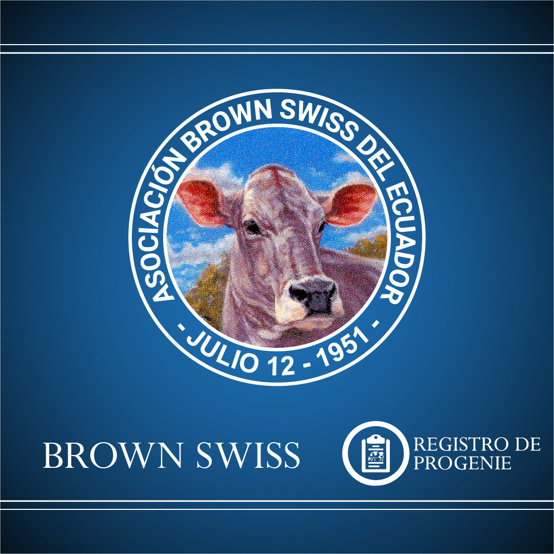 Registro Brown Swiss