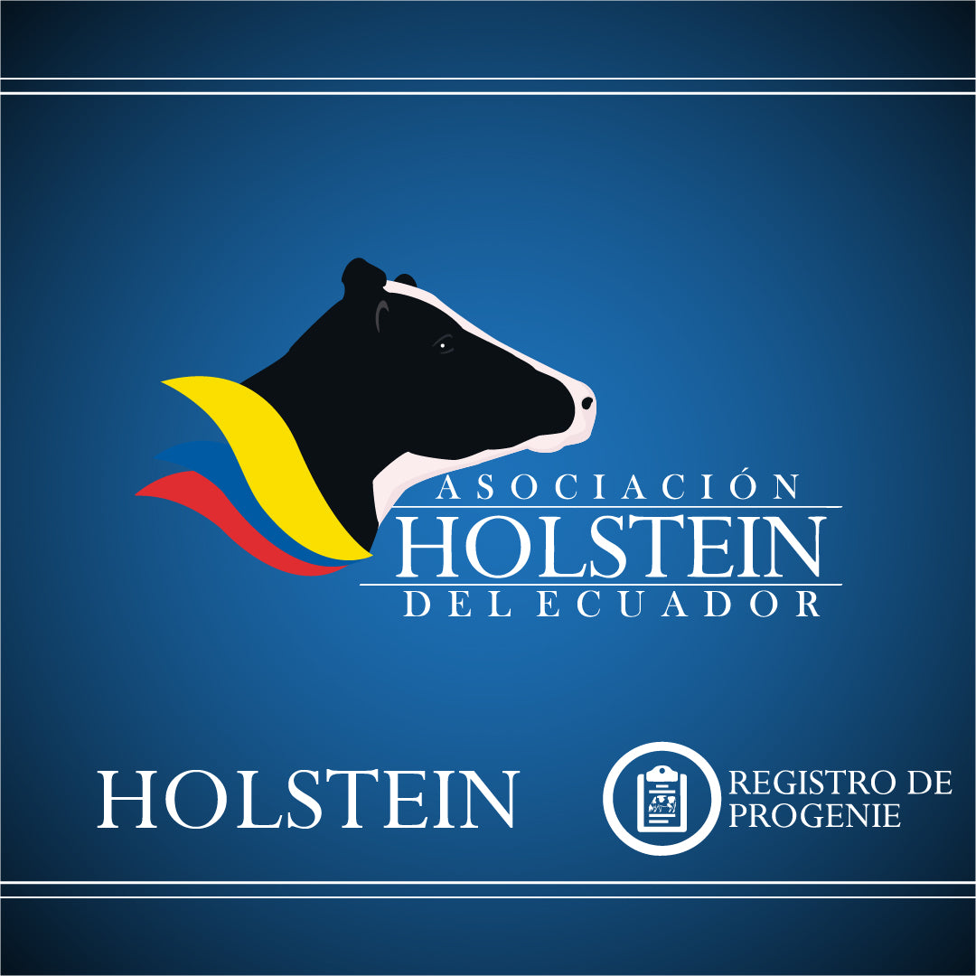 Registro Holstein