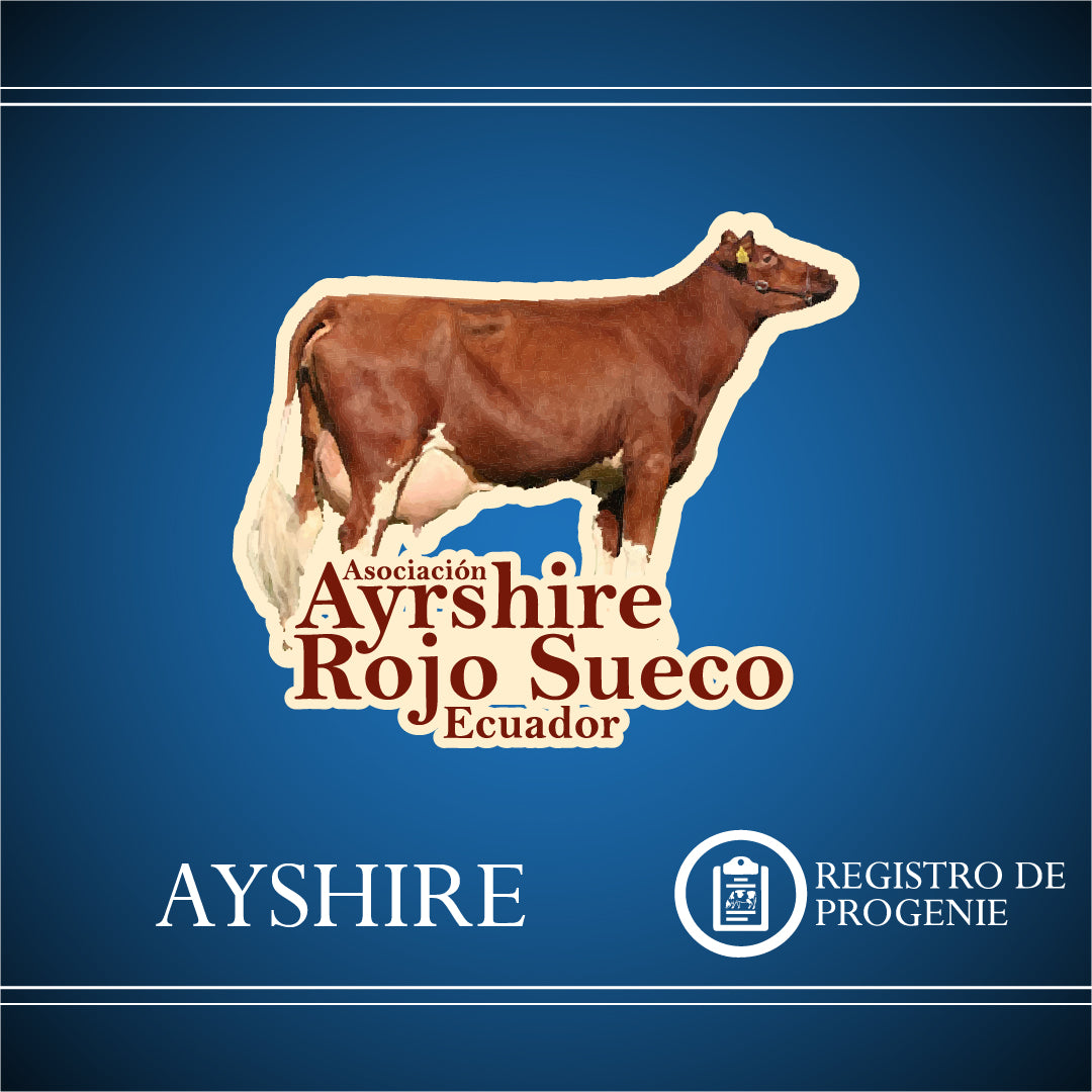 Registro Ayshire