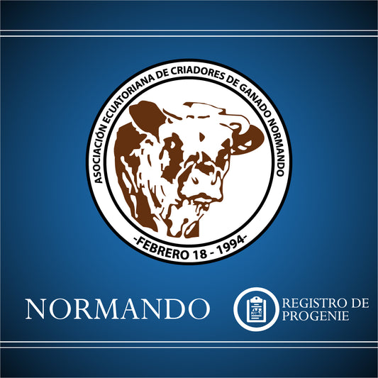 Registro Normando